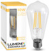 E27 filament Transparant 10W WW   